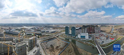 新春開新局 上海自貿(mào)區(qū)臨港新片區(qū)貿(mào)易建設(shè)熱潮涌動(dòng)